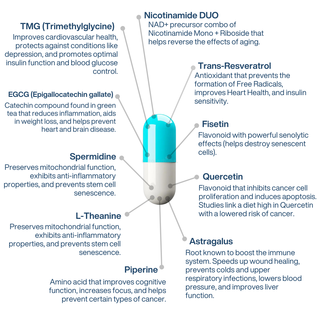NAD+ NMN Liposomal Anti Aging Supplement Complex AEON with Nicotinamide DUO™